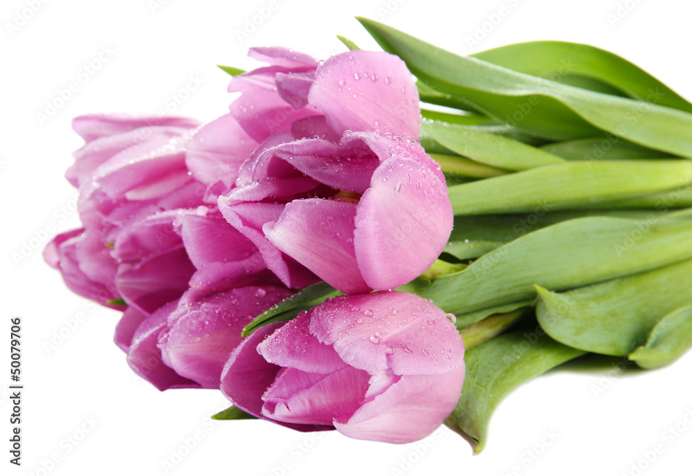 Beautiful bouquet of purple tulips, isolated on white Beautiful bouquet of purple tulips, isolated on white
