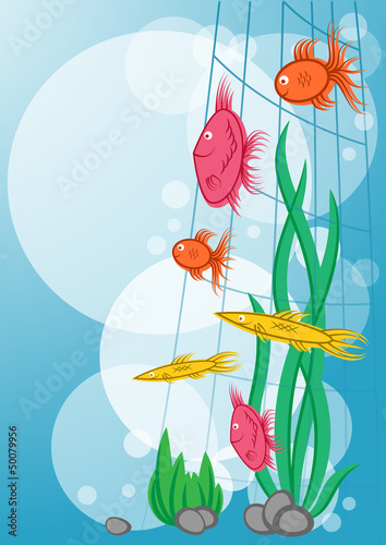 Floating marine fishes