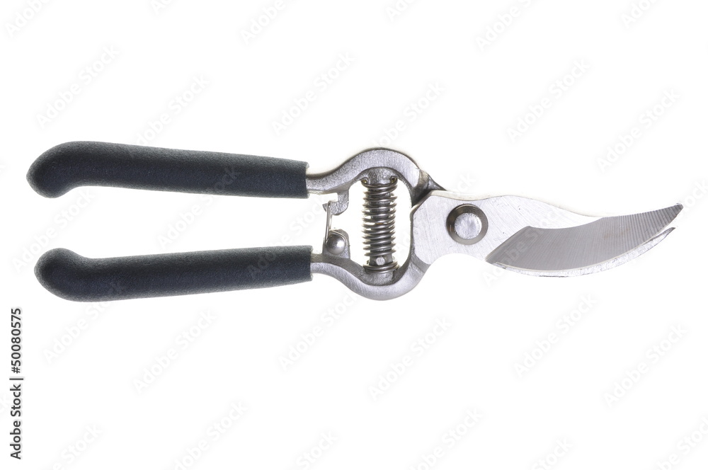 Garden shears to work in the garden Garden shears to work in the garden