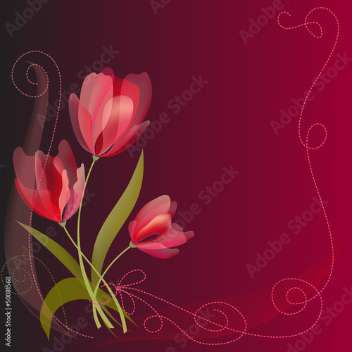 Tulips background