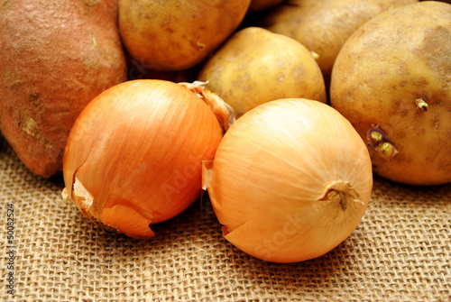 Onions with Potatoes in the Background photo