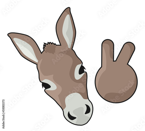 Funny donkey