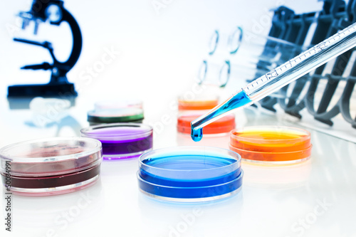 Pipette with drop of color liquid and petri dishes