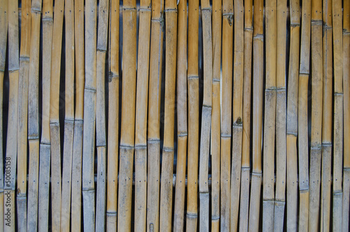 Bamboo background with details