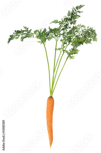 Carrot with steam on a white background. Clipping path included.