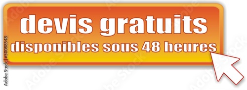 bouton devis gratuits disponibles sous 48 heures