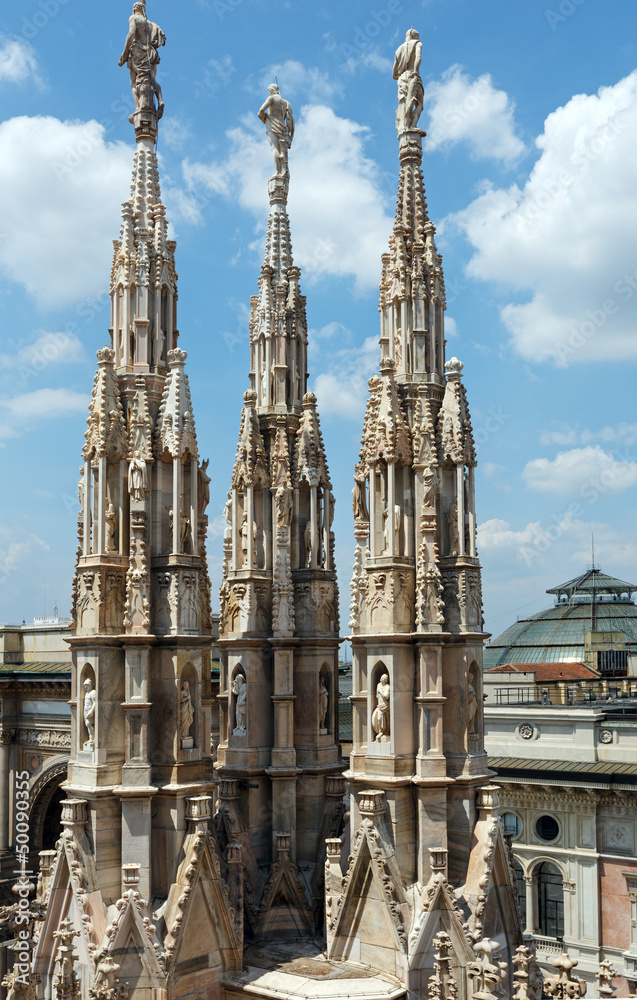 The roof of Milan Cathedra (Italy)