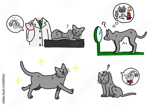 猫の寄生虫の退治