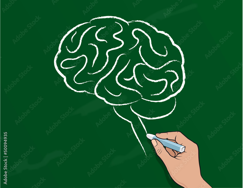 Gehirn auf Tafel gezeichnet (Kreide) Stock Vector | Adobe Stock