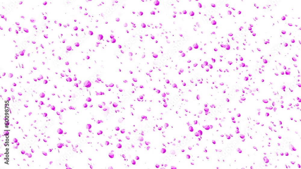 Falling Sakura Petals Cherry Blossoms Animation Cherry Blossoms Falling Sakura Petals Cherry Blossoms Animation Cherry Blossoms