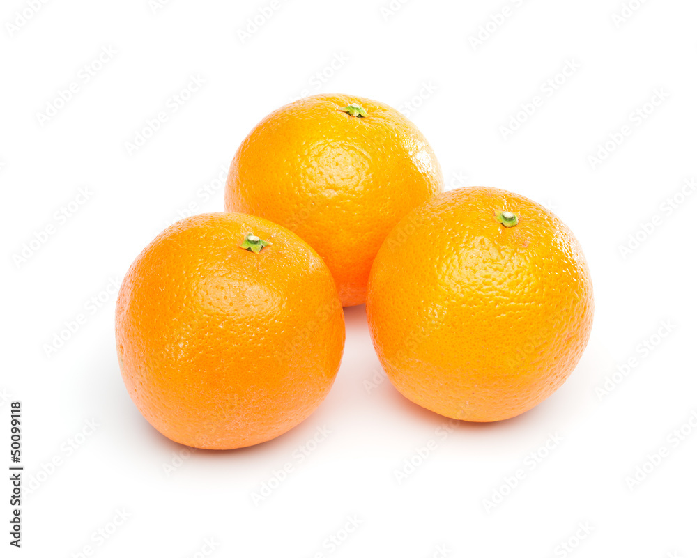 Group of Oranges Group of Oranges
