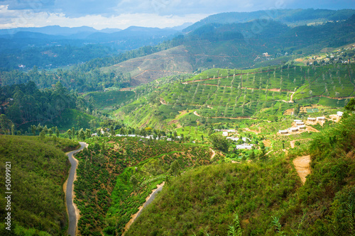 Tea plantation landscape in Hill country, Sri Lanka