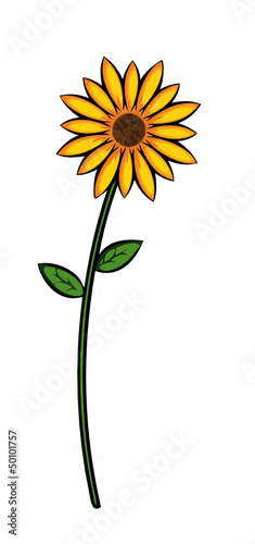 Sonnenblume
