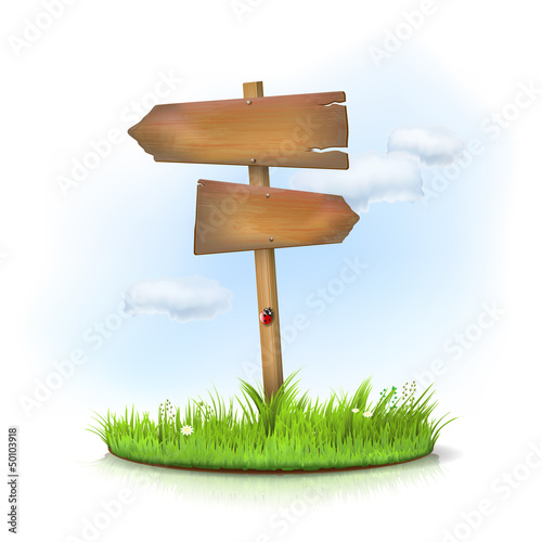 Wooden sign in the grass - crossroad - place for text