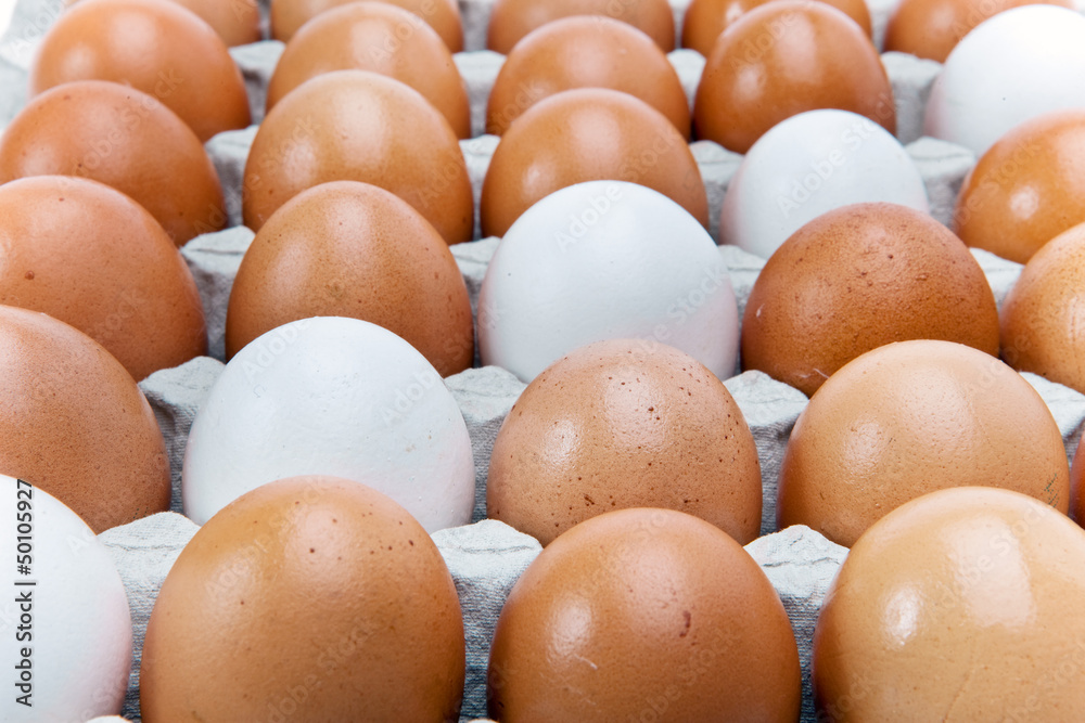 Eggs Eggs