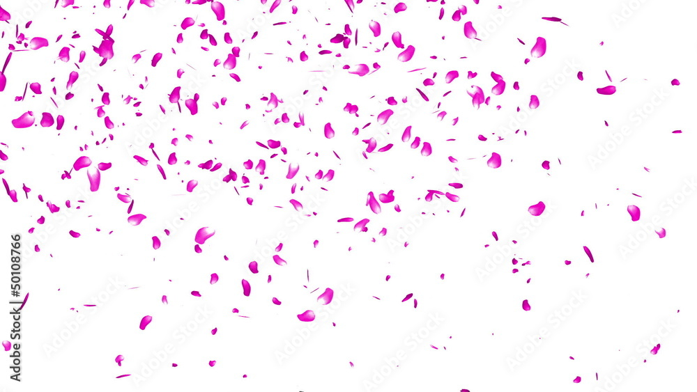 Falling Sakura Petals Cherry Blossoms Animation Falling Sakura Falling Sakura Petals Cherry Blossoms Animation Falling Sakura
