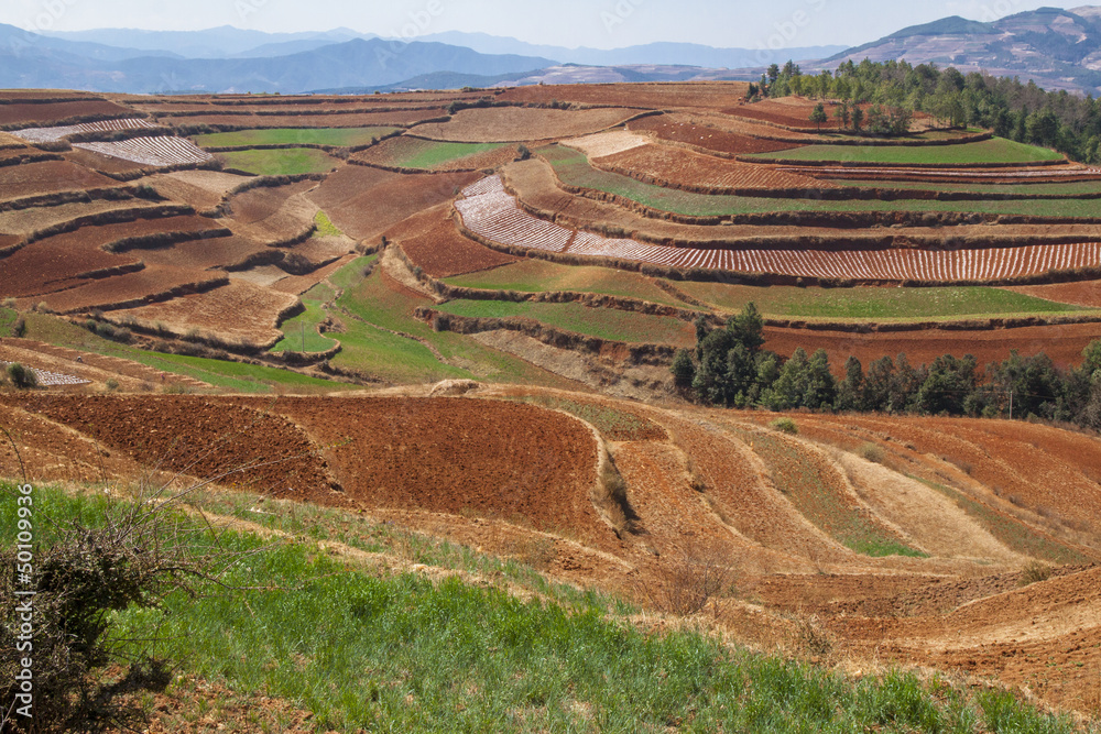 Colorful agricultural field  in Dongchuan, China