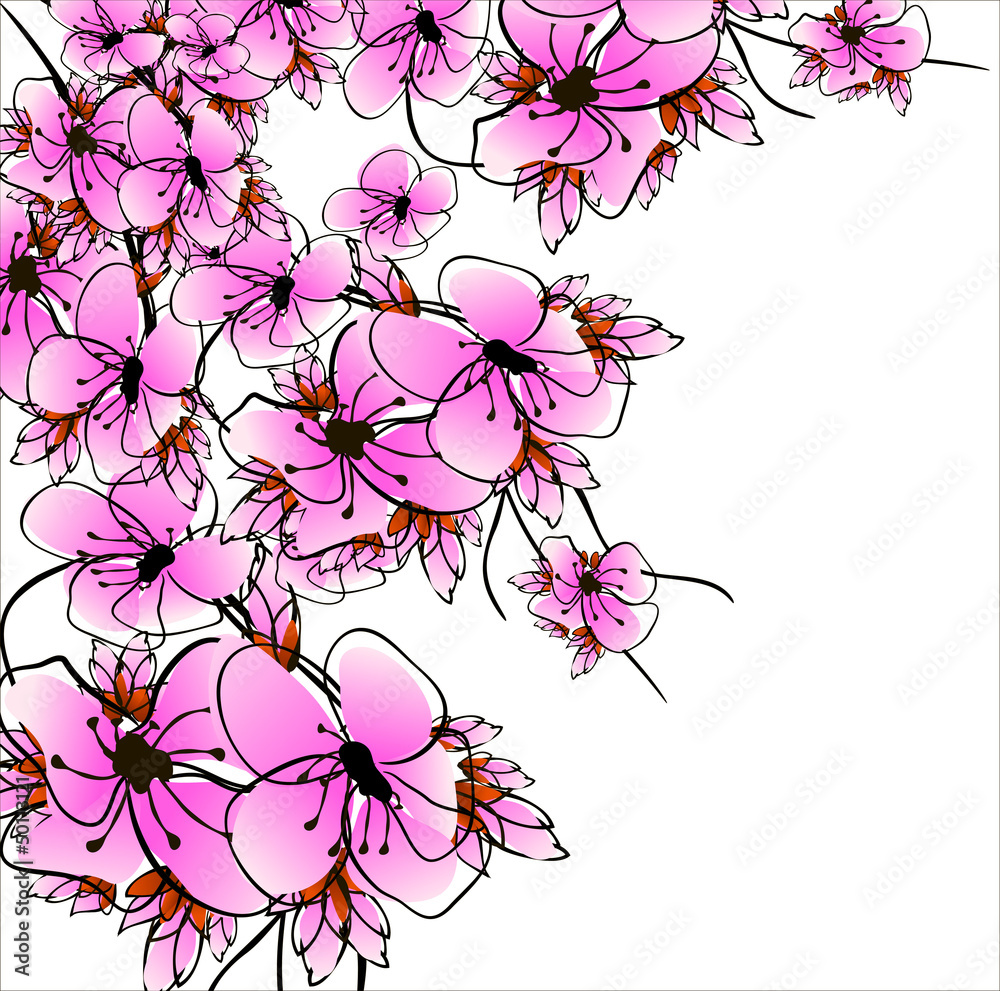 flower sacura