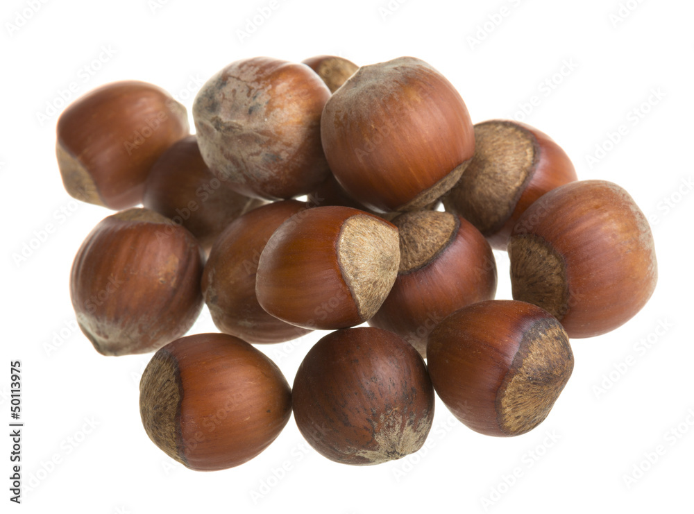 Dried hazelnuts Dried hazelnuts