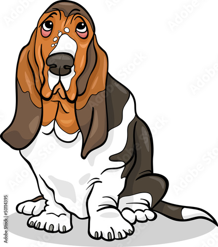 basset hound dog cartoon illustration