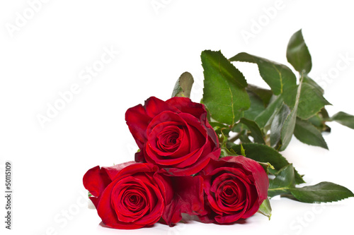 Fototapeta Naklejka Na Ścianę i Meble -  red roses