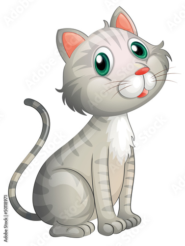 An adorable cat