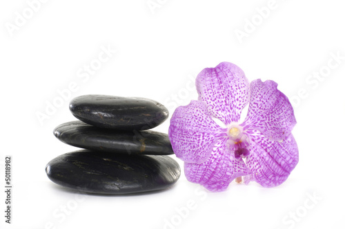 Close up black pebbles with beauty orchid
