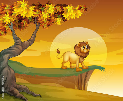 A lion near the mountain cliff
