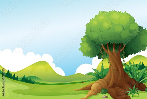 A big tree with vine plants near the hills