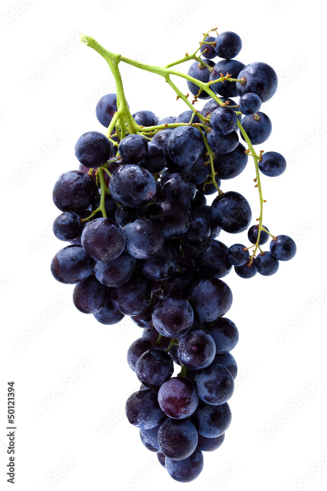 grappe de raisin muscat noir à petits grains grappe de raisin muscat noir à petits grains
