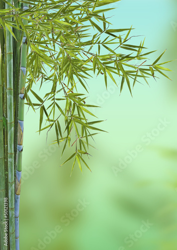 bambou asiatique, concept détente, relaxation