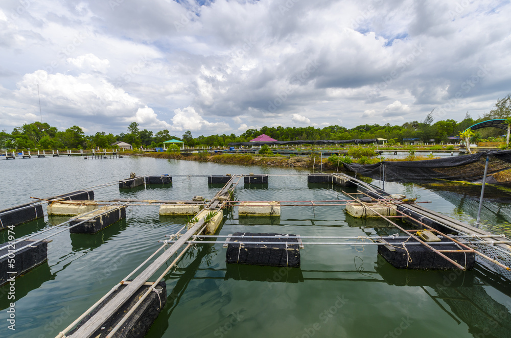 Fish farm in the province of Krabi. Thailand