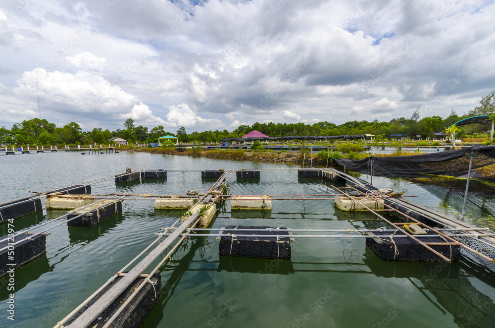 Naklejka premium Fish farm in the province of Krabi. Thailand