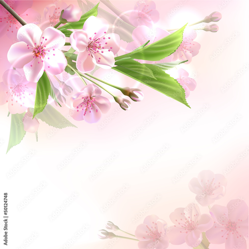 Blossoming tree branch with pink flowers