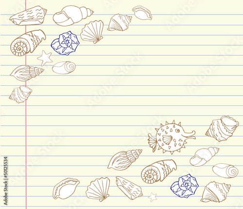Notebook Doodles Vector Design Elements Set with  Сockleshell