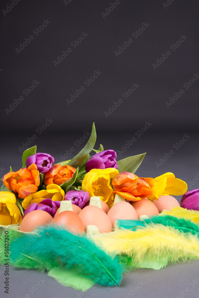 easter eggs, tulip flowers and feather