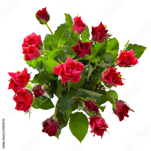 Top view of  red roses bouquet