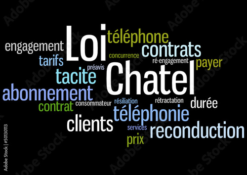 Nuage de mots : Loi Chatel