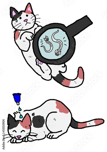 猫、寄生虫、駆除