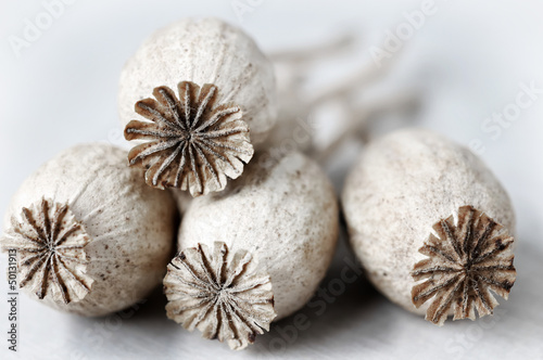 Poppy heads