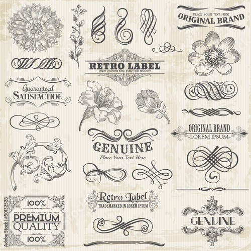 Vector Set: Calligraphic Design Elements and Page Decoration, Vi