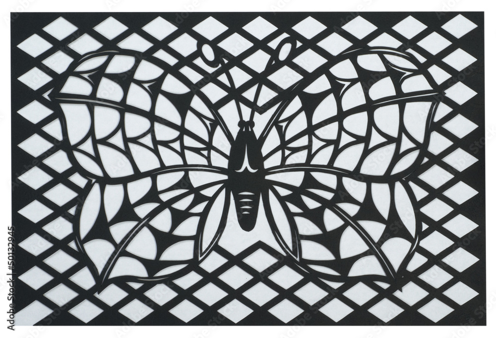 Obraz premium butterfly