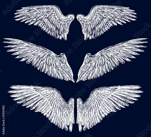 wings