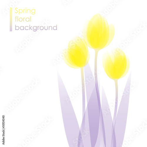 Lovely tulips / spring flower background