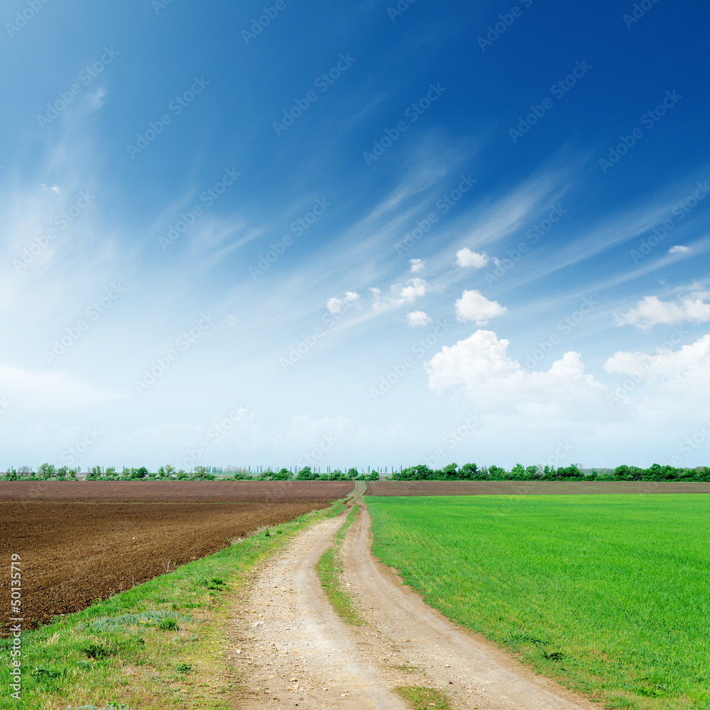 Obraz premium rural road in fields to cloudy horizon