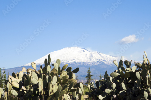 Etna e fichi d'india