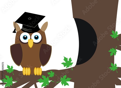 intelligent owl in a tree