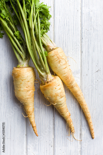 Tableau sur toile fresh parsnip
