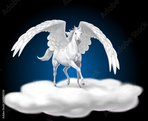 pegaso photo