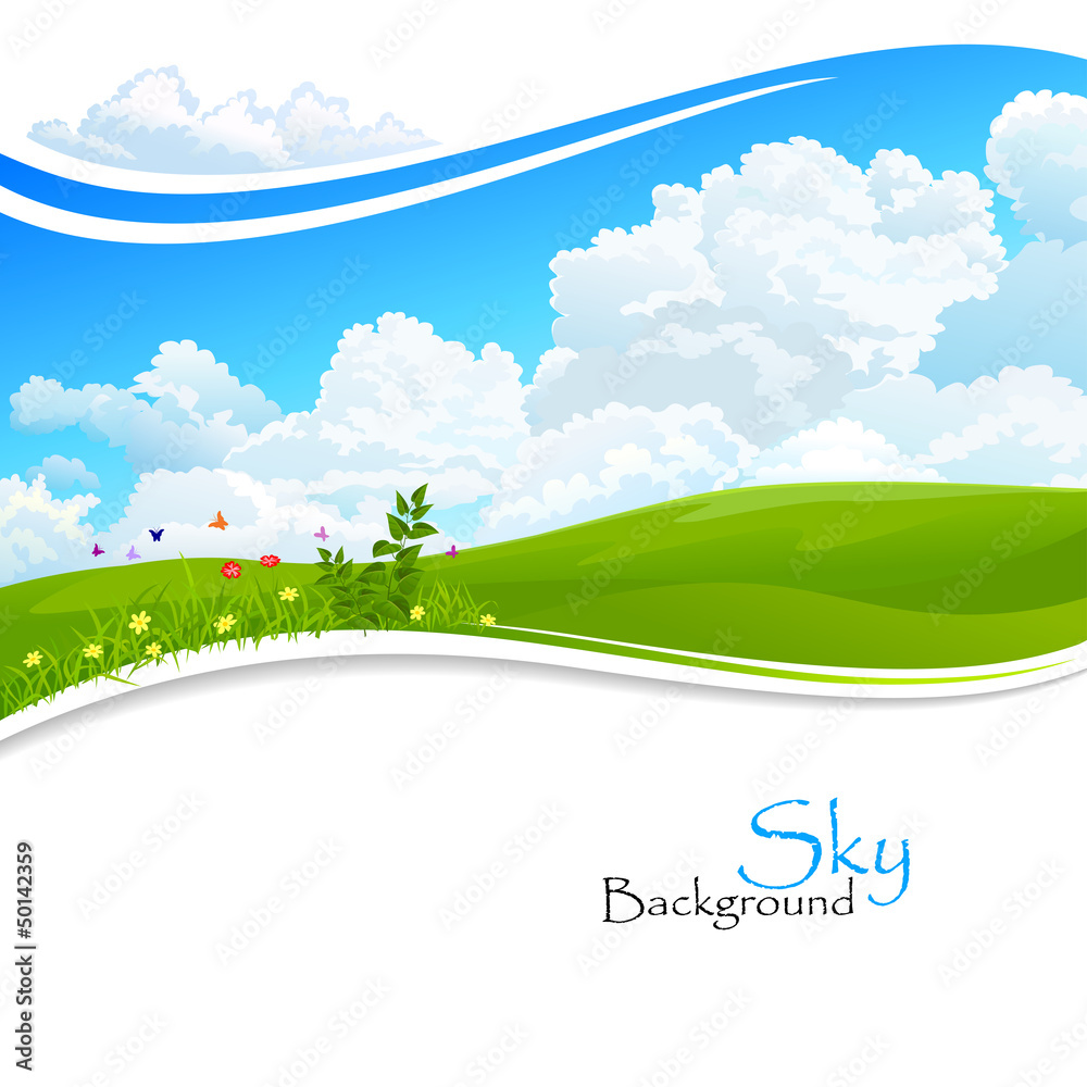 Obraz premium Wild flowers , Green hills and Blue Sky